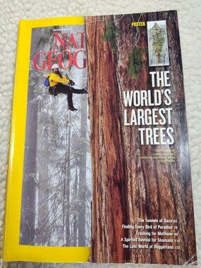 National Geographic Magazine Dec 2012 The World's Largest Trees Poster Issue